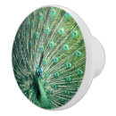 Search for peacock knobs and pulls Peafowl