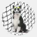 Search for collie dog stickers Animals