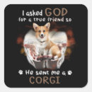 Search for cardigan corgi stickers Pet