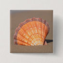 Search for pictures of shells badges Ocean