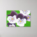 Search for pansy art Flower