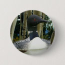 Search for loons badges Bird