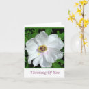 Search for blank inside photography Thinking of you