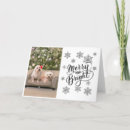 Search for bichon christmas cards Santa
