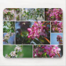 Search for apple orchard mouse mats Trees