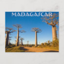 Search for madagascar postcards Baobab