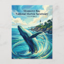 Search for otter postcards California