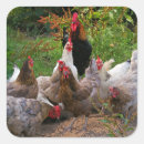 Search for square glossy stickers Funny