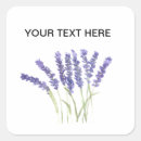 Search for lavender herb stickers Flower