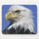 Search for wild eagles mouse mats Bald eagle