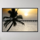 Search for florida key posters Palm