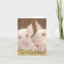 Search for pigs note cards Animals