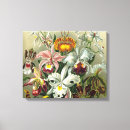 Search for art forms of nature posters Pink