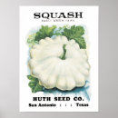 Search for vintage seed packets posters Advertising