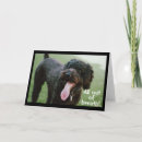 Search for teen boys funny cards Photography