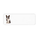 Search for cardigan return address labels Pet