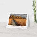Search for no filter cards Autumn