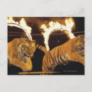 Search for fires postcards Burning