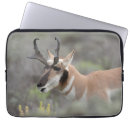 Search for doe electronics Fawn