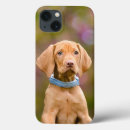 Search for vizsla iphone cases Dog