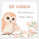 Search for owl bookplates Ex libris