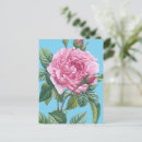 Search for rose leaves postcards Roses