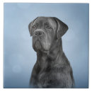 Search for dog breeds tiles Canine