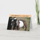 Search for gag birthday cards Party