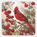Search for northern red cardinals stickers Wildlife