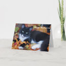 Search for charity seasonal cards Animals