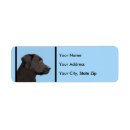 Search for labrador puppy return address labels Retriever