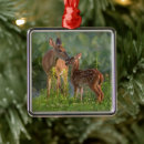 Search for fawn christmas tree decorations Doe