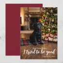 Search for dog and cat christmas cards Naughty or nice