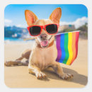 Search for gay dog stickers Rainbow