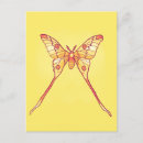 Search for luna moth postcards Animal