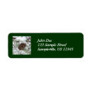 Search for snowy trees return address labels Pine tree