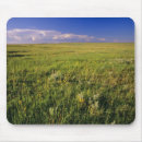 Search for remote mouse mats Landscape