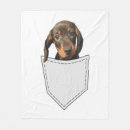 Search for dachshund blankets Wolf