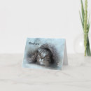 Search for kitty love cards Feline