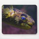 Search for bottoms mouse mats Funny