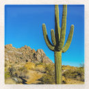 Search for southwest barware Arizona