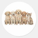 Search for puppies stickers Golden retriever
