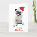 Search for pug christmas cards Xmas