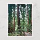 Search for bay area postcards Retro