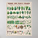 Search for vintage classroom posters Educational