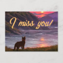 Search for next postcards Cat