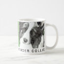 Search for border collie mugs Animals