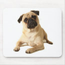 Search for love pug electronics Puppy