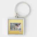 Search for this is why i key rings I can has cheezburger