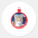 Search for cat picture stickers Merry christmas